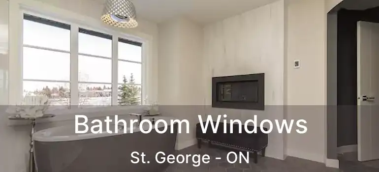  Bathroom Windows St. George - ON