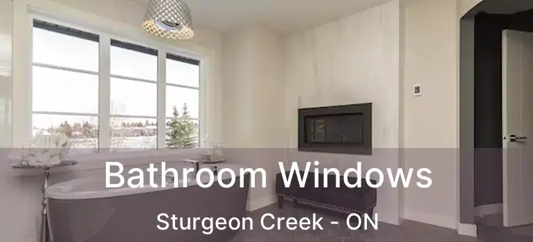  Bathroom Windows Sturgeon Creek - ON