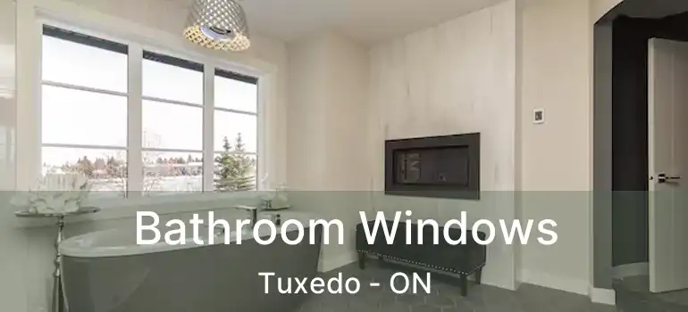  Bathroom Windows Tuxedo - ON