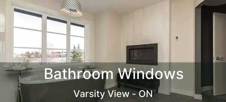  Bathroom Windows Varsity View - ON