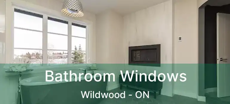  Bathroom Windows Wildwood - ON