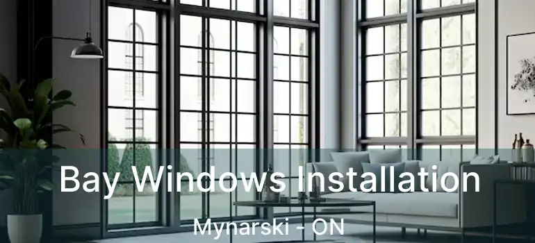  Bay Windows Installation Mynarski - ON