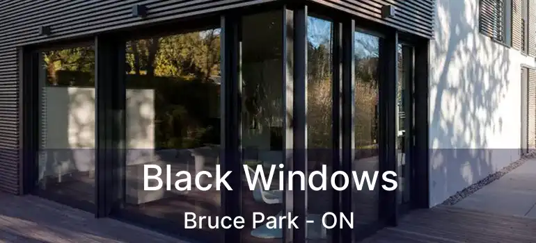 Black Windows Bruce Park - ON