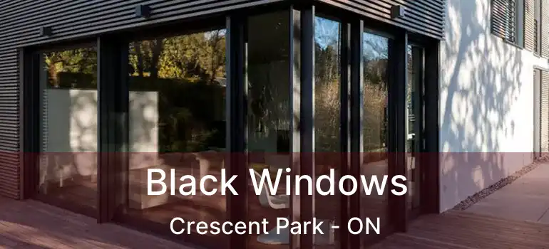  Black Windows Crescent Park - ON