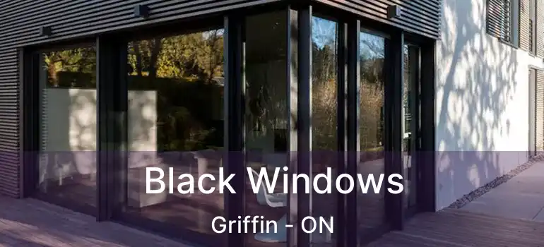  Black Windows Griffin - ON