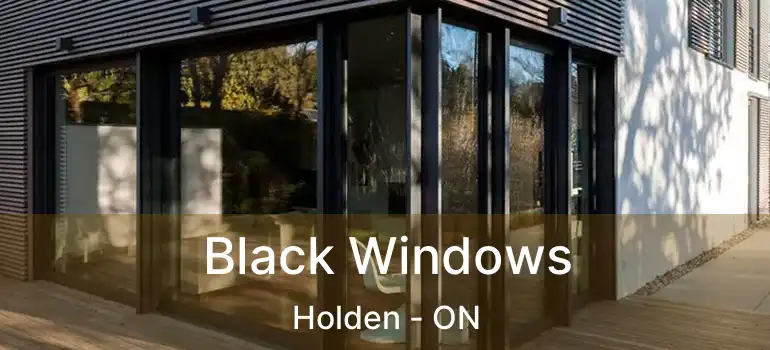  Black Windows Holden - ON