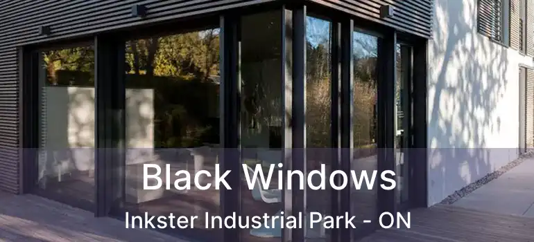  Black Windows Inkster Industrial Park - ON