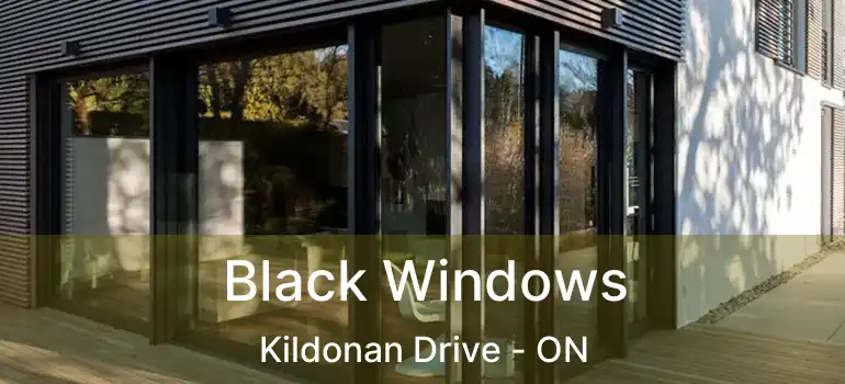 Black Windows Kildonan Drive - ON