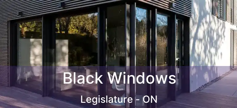  Black Windows Legislature - ON