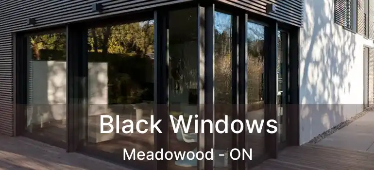 Black Windows Meadowood - ON