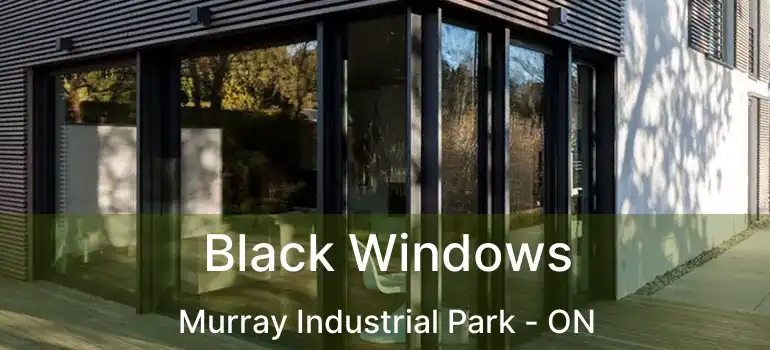  Black Windows Murray Industrial Park - ON