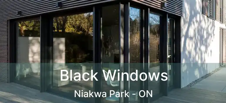  Black Windows Niakwa Park - ON