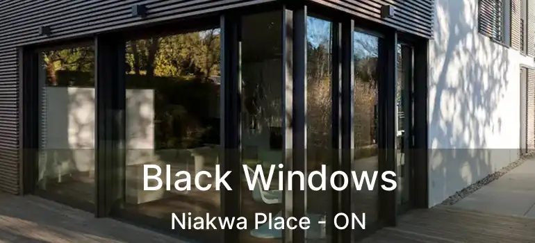 Black Windows Niakwa Place - ON