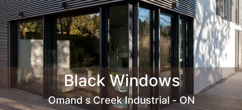  Black Windows Omand s Creek Industrial - ON