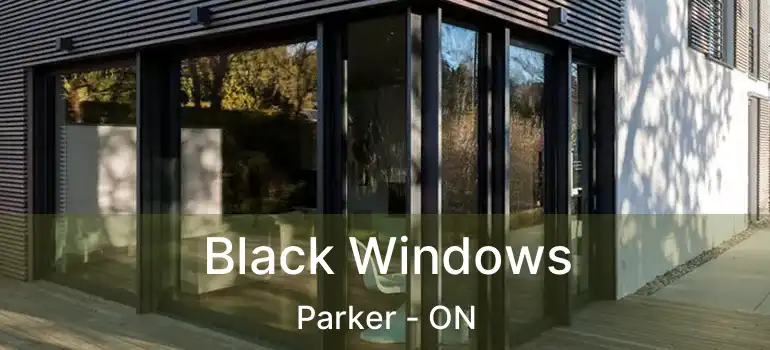  Black Windows Parker - ON