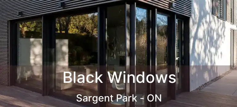  Black Windows Sargent Park - ON