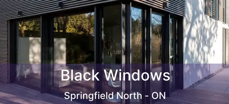  Black Windows Springfield North - ON