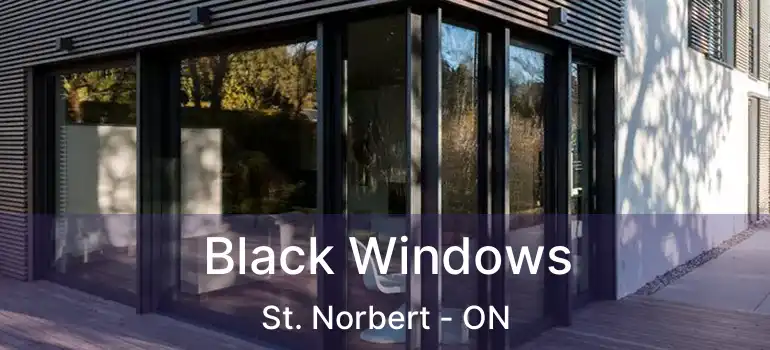  Black Windows St. Norbert - ON