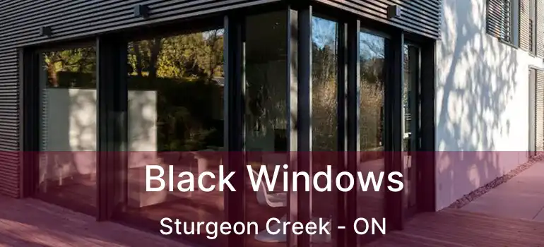  Black Windows Sturgeon Creek - ON