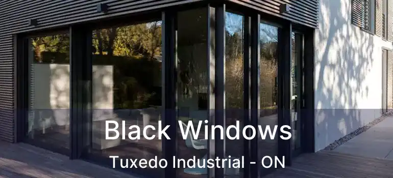  Black Windows Tuxedo Industrial - ON