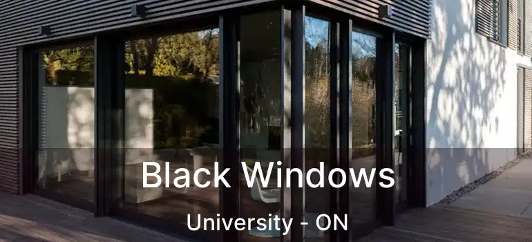  Black Windows University - ON