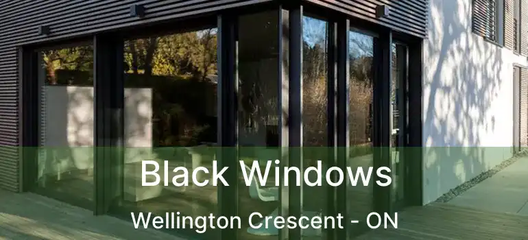 Black Windows Wellington Crescent - ON