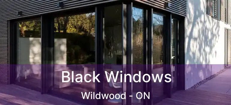  Black Windows Wildwood - ON