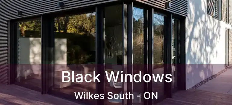  Black Windows Wilkes South - ON