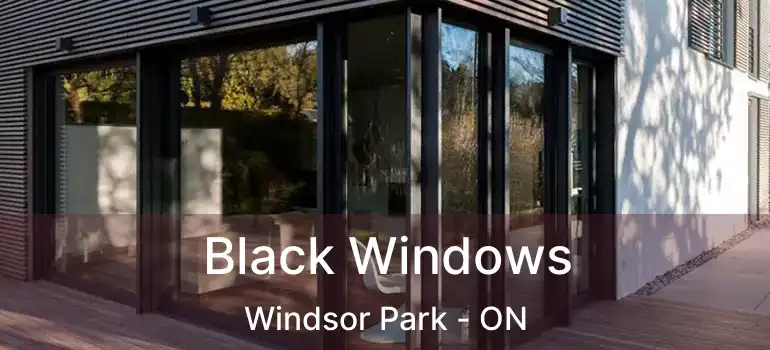  Black Windows Windsor Park - ON
