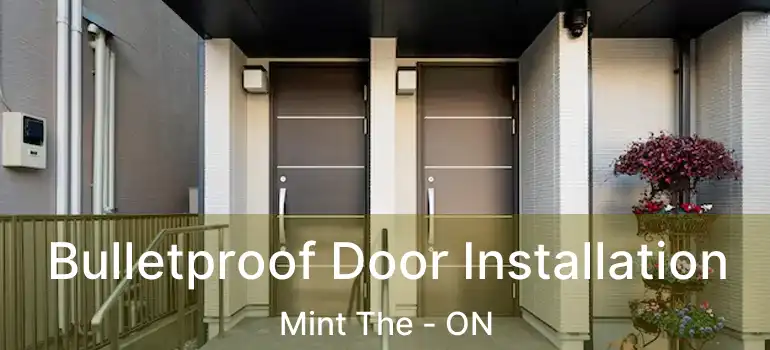  Bulletproof Door Installation Mint The - ON