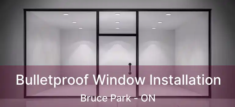  Bulletproof Window Installation Bruce Park - ON