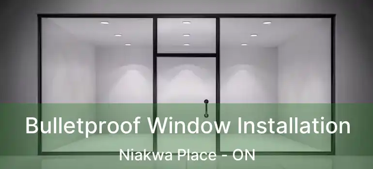  Bulletproof Window Installation Niakwa Place - ON