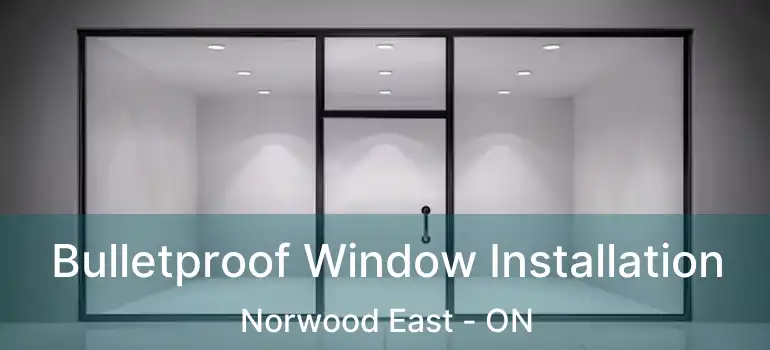  Bulletproof Window Installation Norwood East - ON