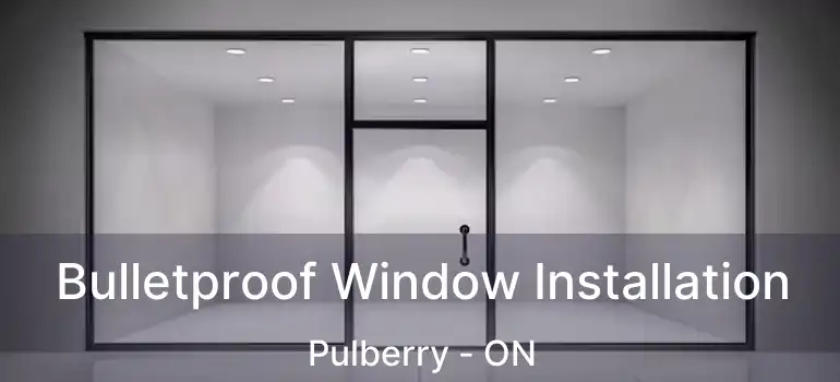  Bulletproof Window Installation Pulberry - ON