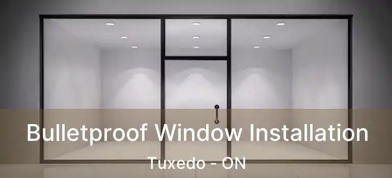  Bulletproof Window Installation Tuxedo - ON