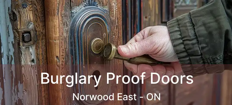  Burglary Proof Doors Norwood East - ON