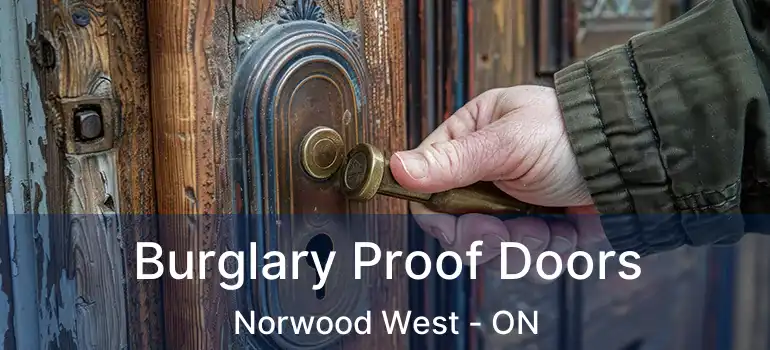 Burglary Proof Doors Norwood West - ON