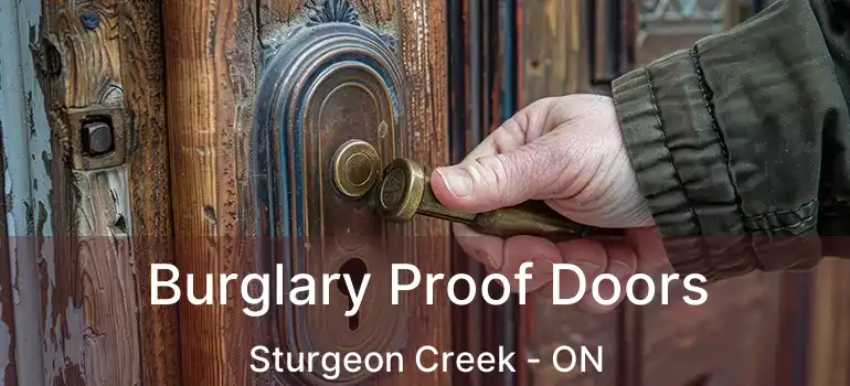  Burglary Proof Doors Sturgeon Creek - ON