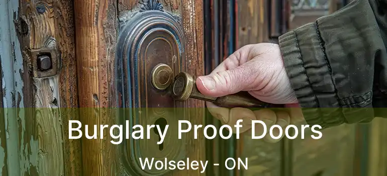  Burglary Proof Doors Wolseley - ON