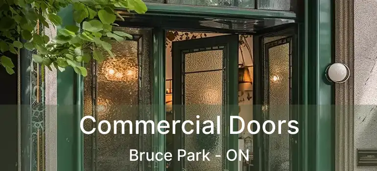  Commercial Doors Bruce Park - ON