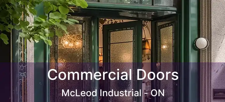  Commercial Doors McLeod Industrial - ON