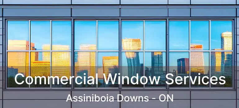  Commercial Window Services Assiniboia Downs - ON