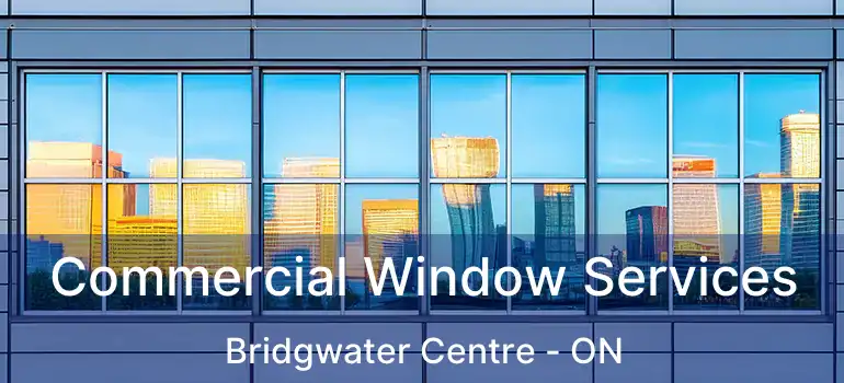  Commercial Window Services Bridgwater Centre - ON