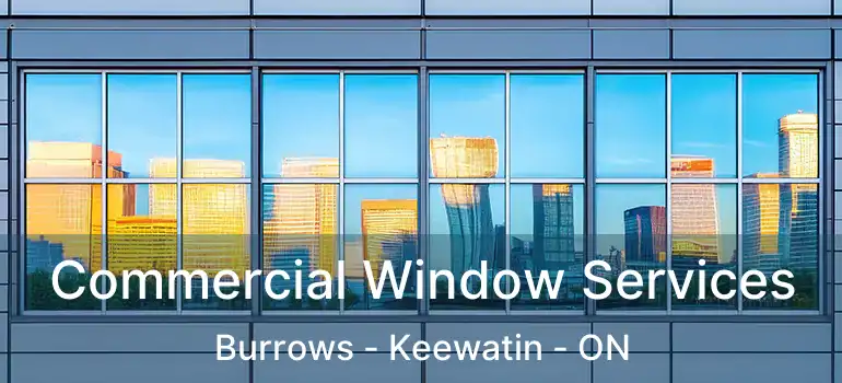  Commercial Window Services Burrows - Keewatin - ON