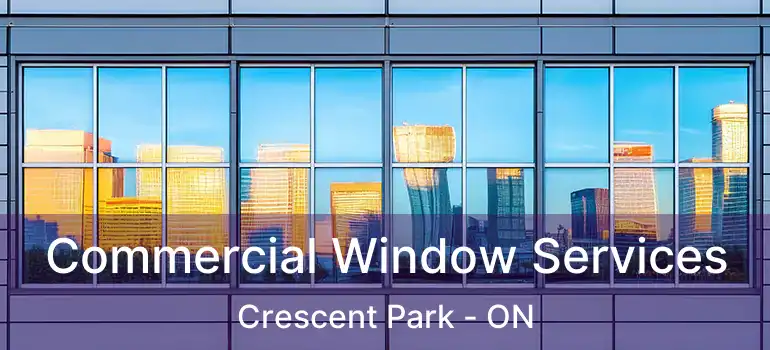  Commercial Window Services Crescent Park - ON