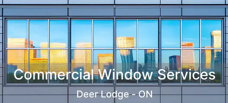  Commercial Window Services Deer Lodge - ON