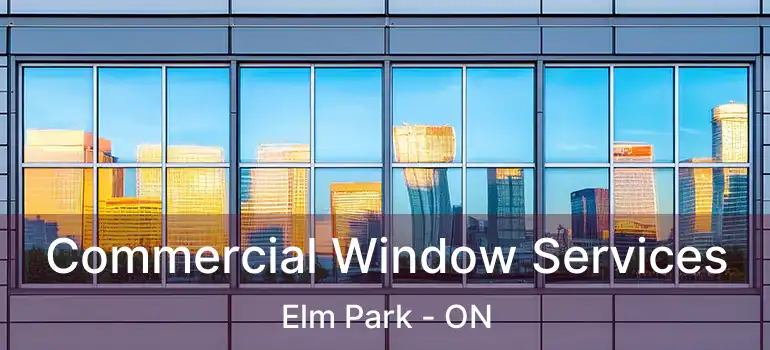  Commercial Window Services Elm Park - ON