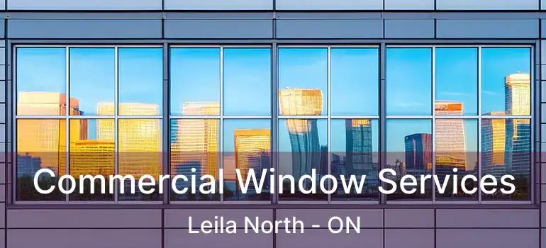  Commercial Window Services Leila North - ON