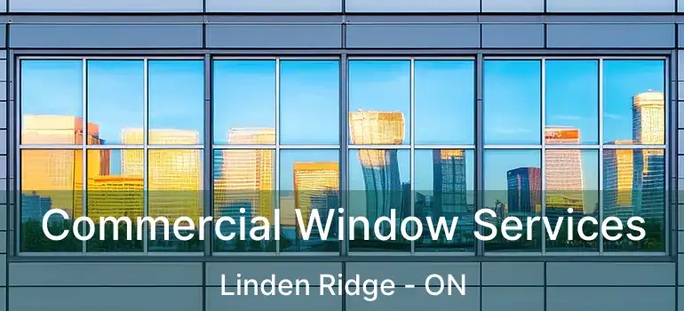  Commercial Window Services Linden Ridge - ON