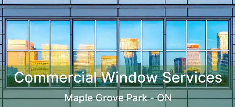  Commercial Window Services Maple Grove Park - ON
